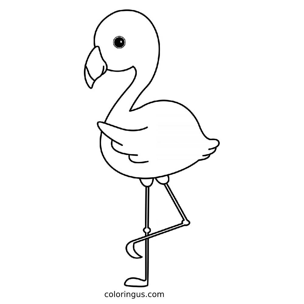 flamingo coloring pages flamingo coloring pages