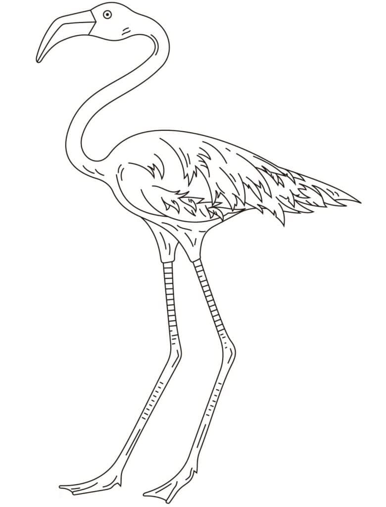 Flamingo Drawing Coloring Page Download Print Or Color Online For Free Flamingo Drawing Coloring Page Download Print Or Color Online For Free