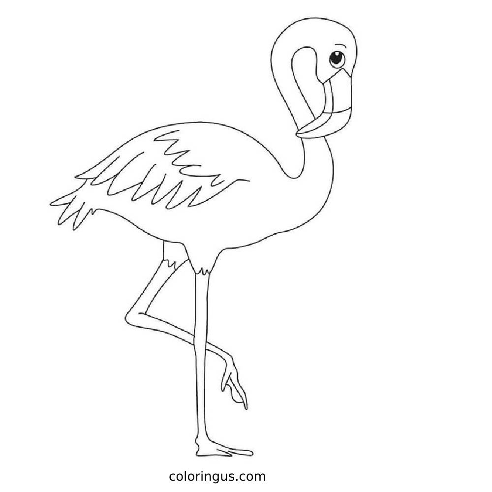 Flamingo Printable Coloring Page Flamingo Printable Coloring Page