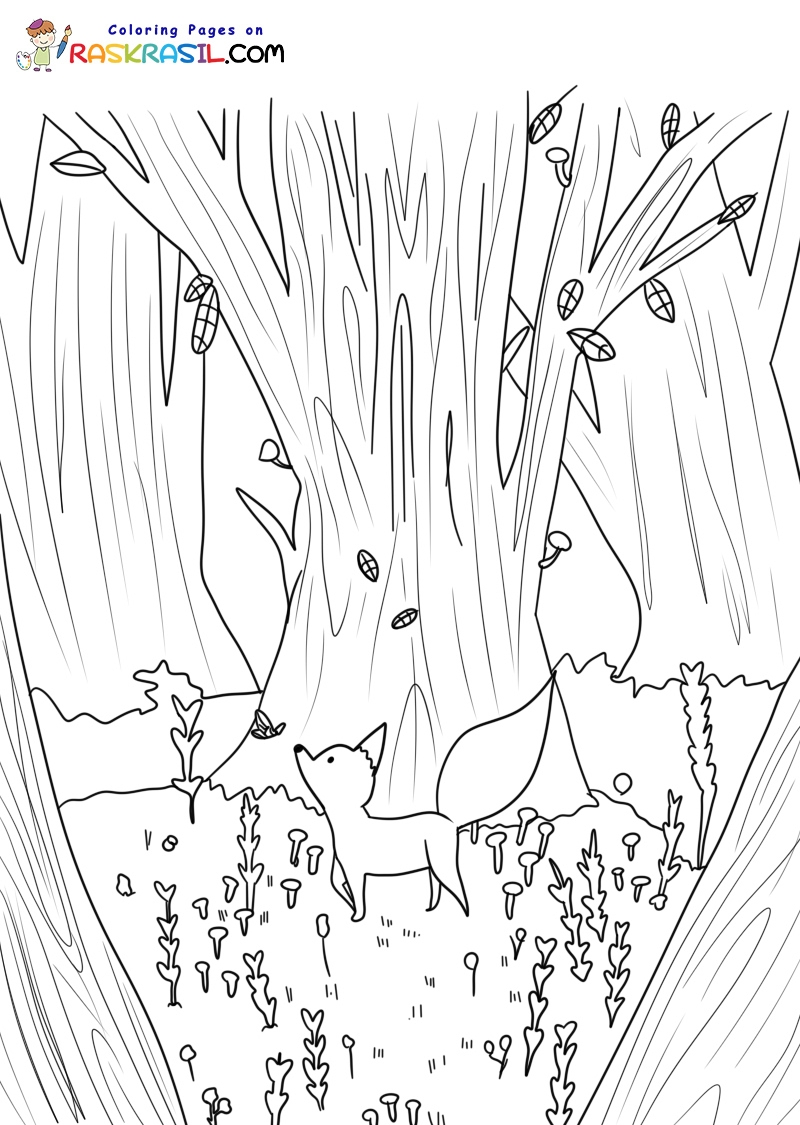 Forest Coloring Pages