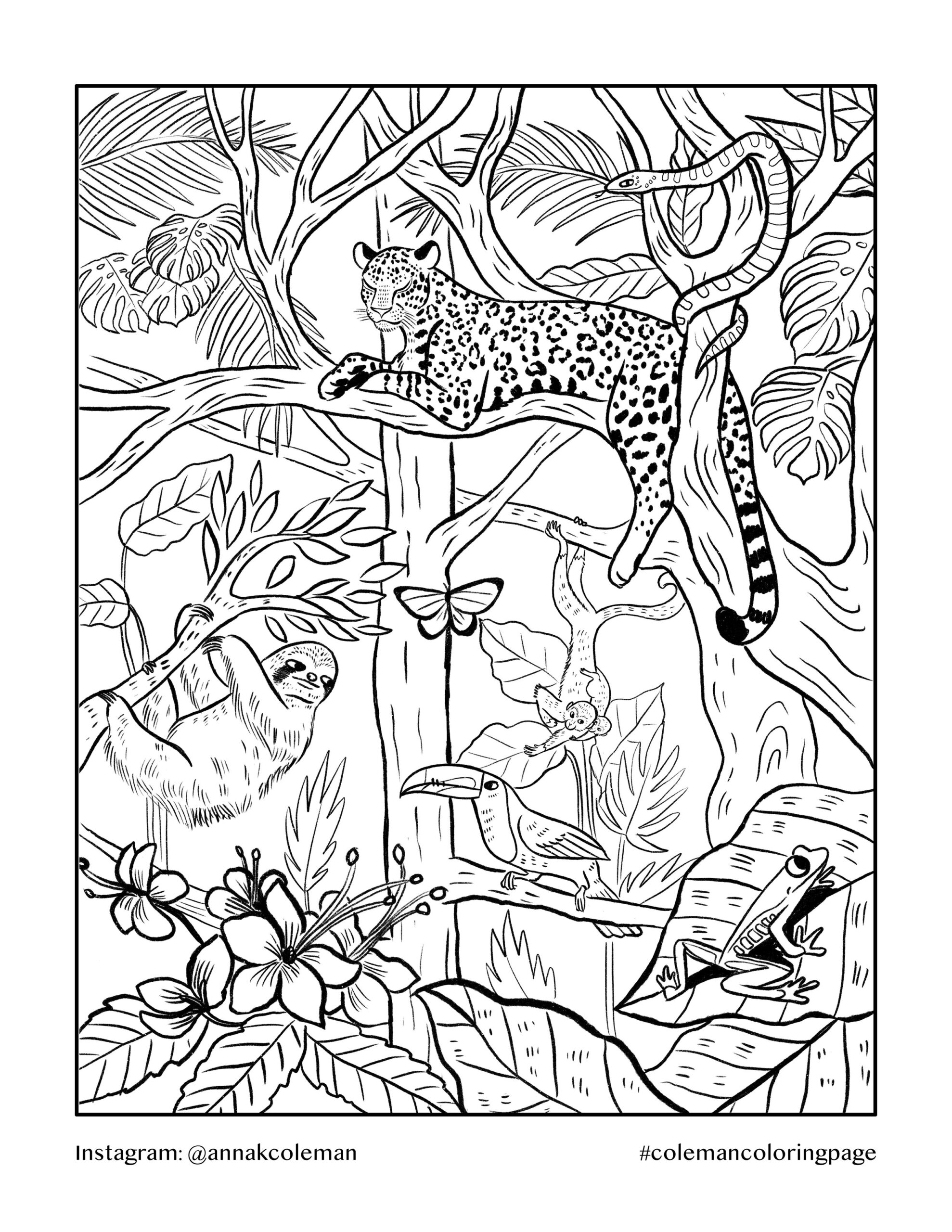 Forestry Coloring Pages 2025 Forestry Coloring Pages 2025