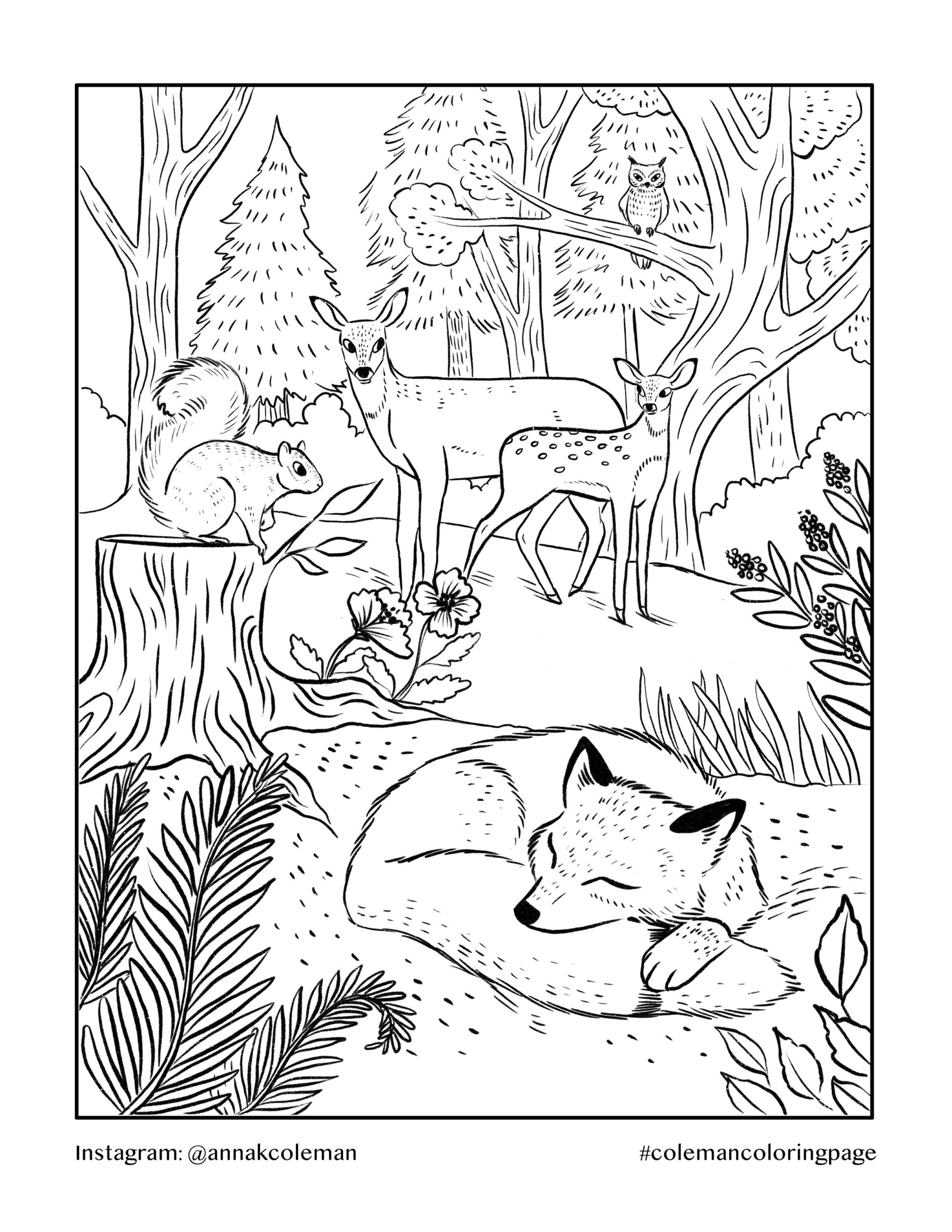 Forestry Coloring Pages 2025 Forestry Coloring Pages 2025