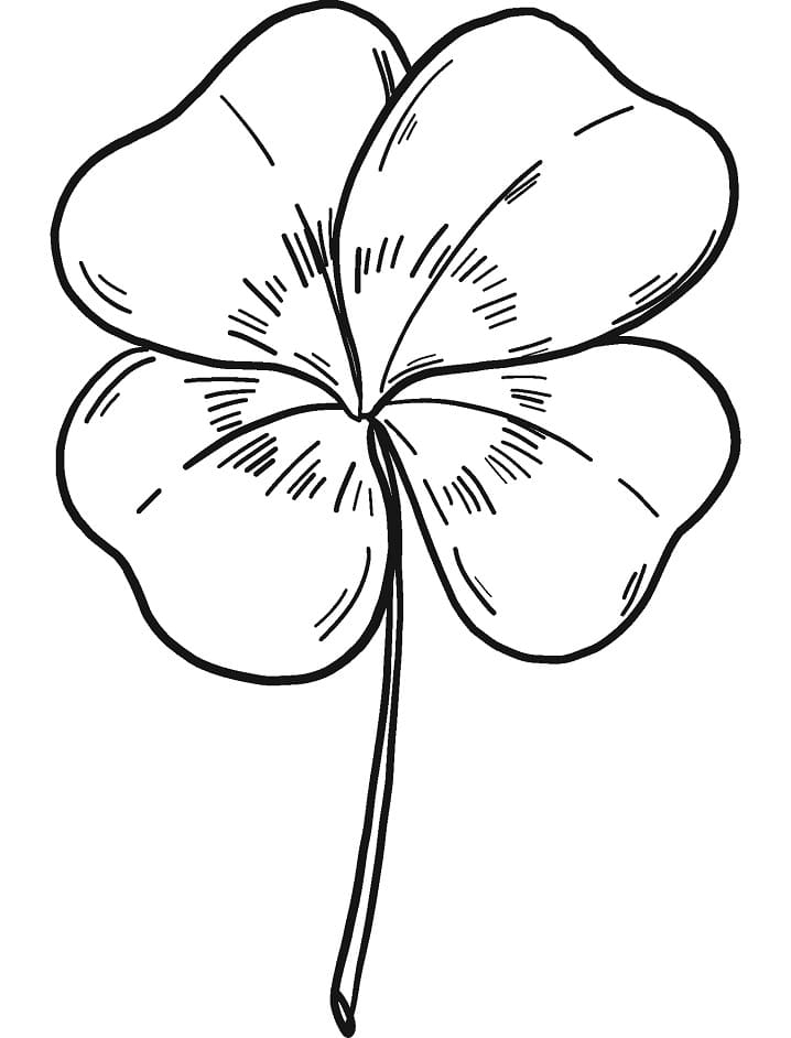 Four Leaf Clover 1