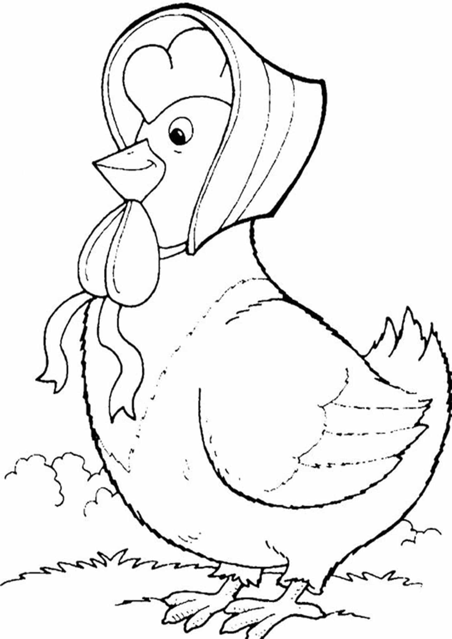 color page chicken color page chicken