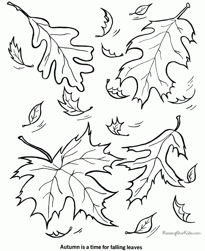 leaf coloring page leaf coloring page
