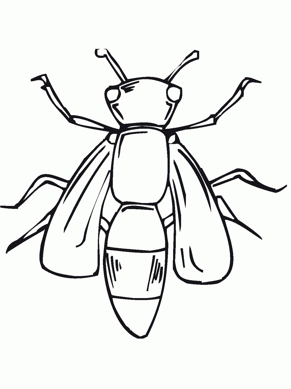 Free Printable Bug Coloring Pages For Kids Free Printable Bug Coloring Pages For Kids