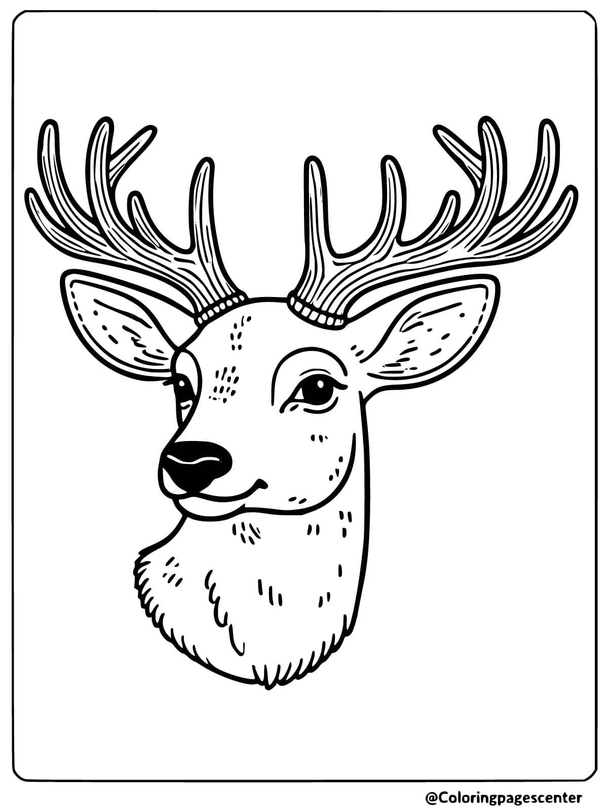 Free Printable Deer Coloring Pages