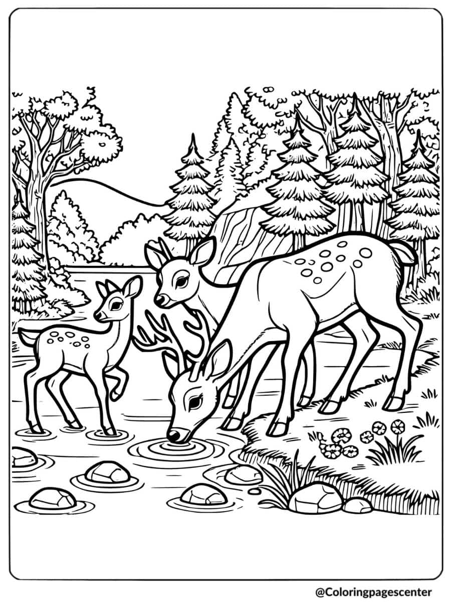 deer coloring pages