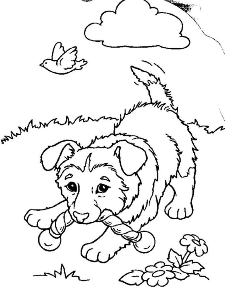 Free Printable Puppies Coloring Pages For Kids Free Printable Puppies Coloring Pages For Kids