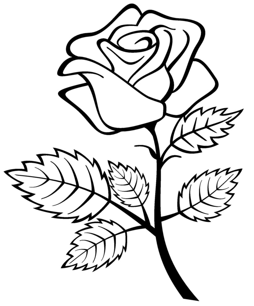 Free Printable Roses Coloring Pages For Kids Free Printable Roses Coloring Pages For Kids
