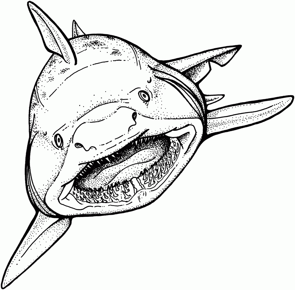 shark coloring pages shark coloring pages