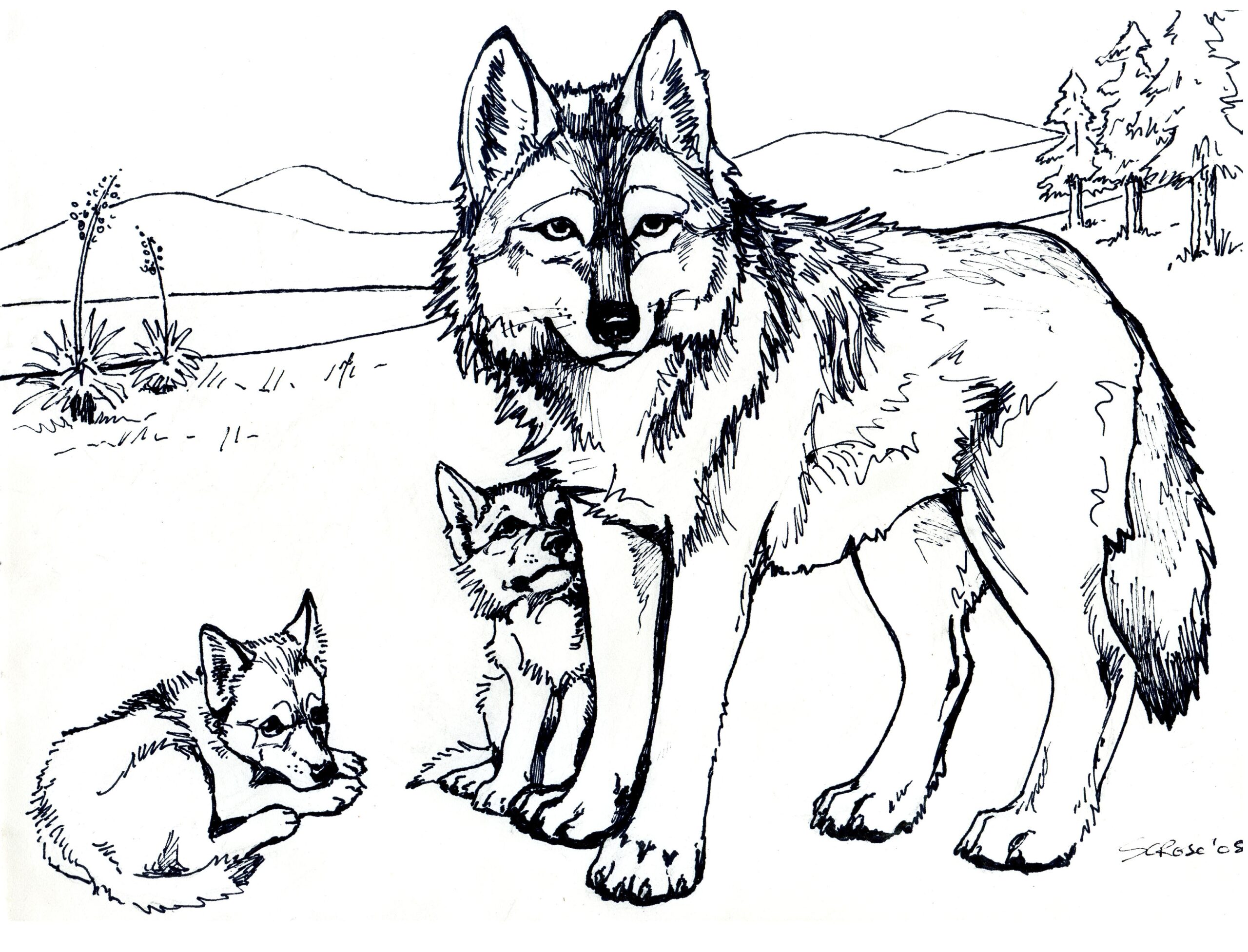 Free Printable Wolf Coloring Pages For Kids Free Printable Wolf Coloring Pages For Kids