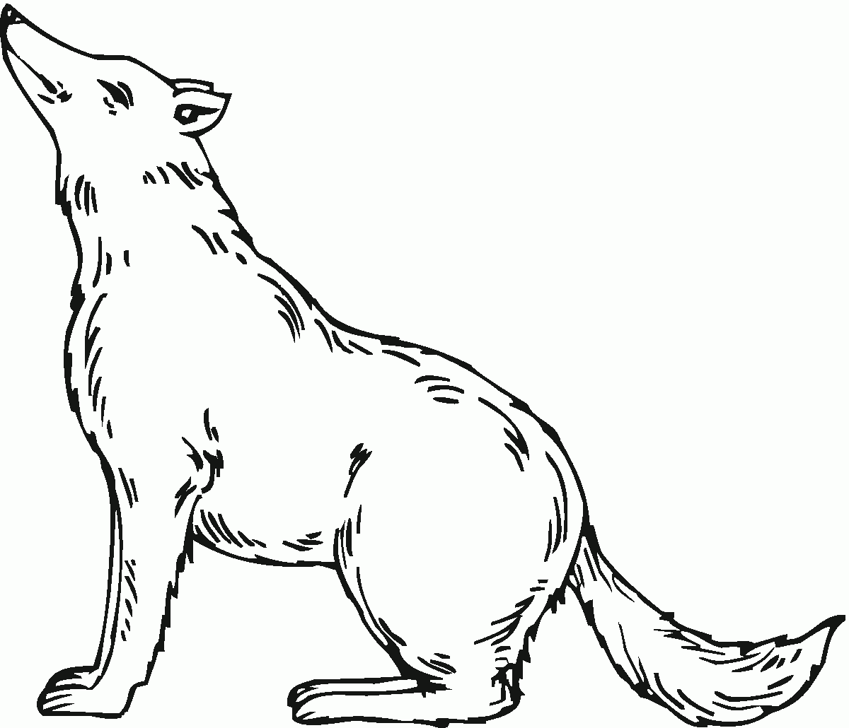 Free Printable Wolf Coloring Pages For Kids Free Printable Wolf Coloring Pages For Kids
