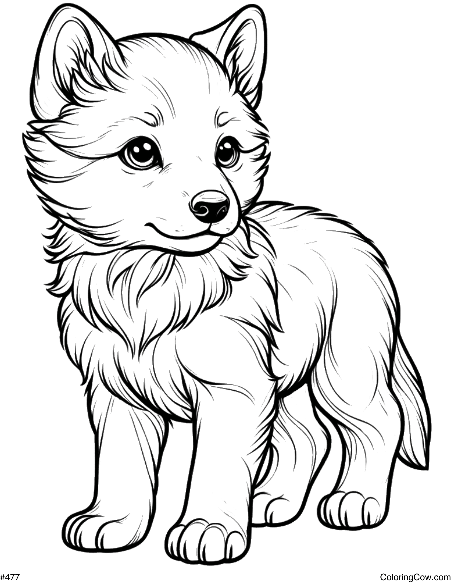Free Wolf Coloring Pages Free Wolf Coloring Pages