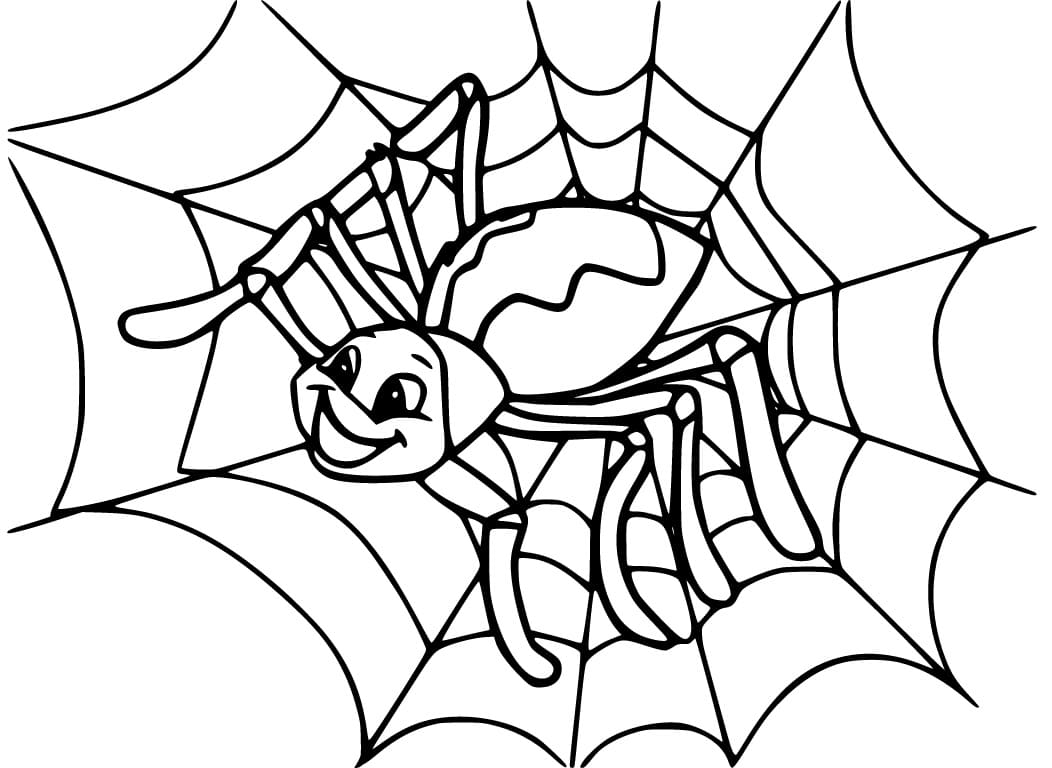 spider coloring page spider coloring page
