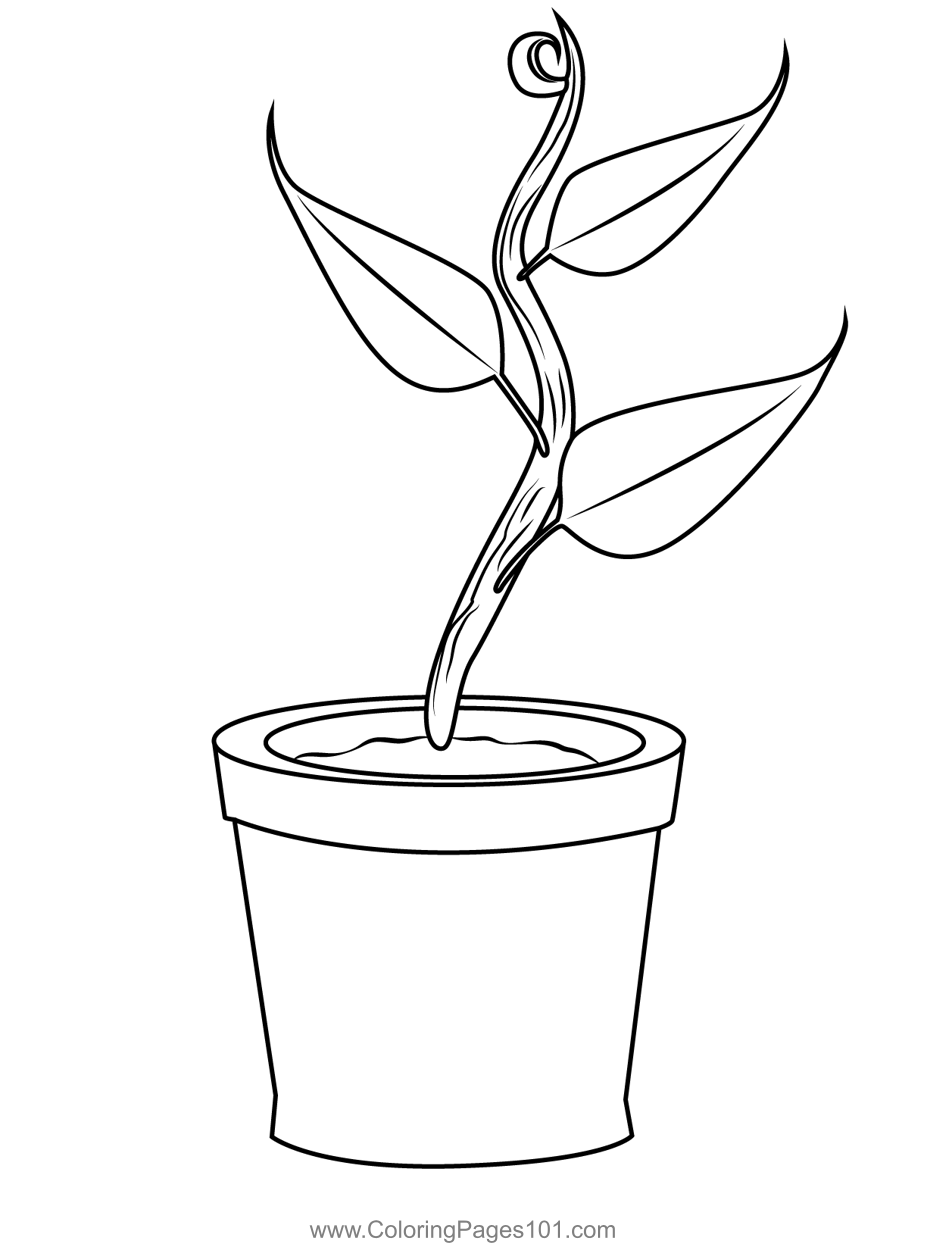 Growing Plant Coloring Page For Kids Free Plants Printable Coloring Growing Plant Coloring Page For Kids Free Plants Printable Coloring