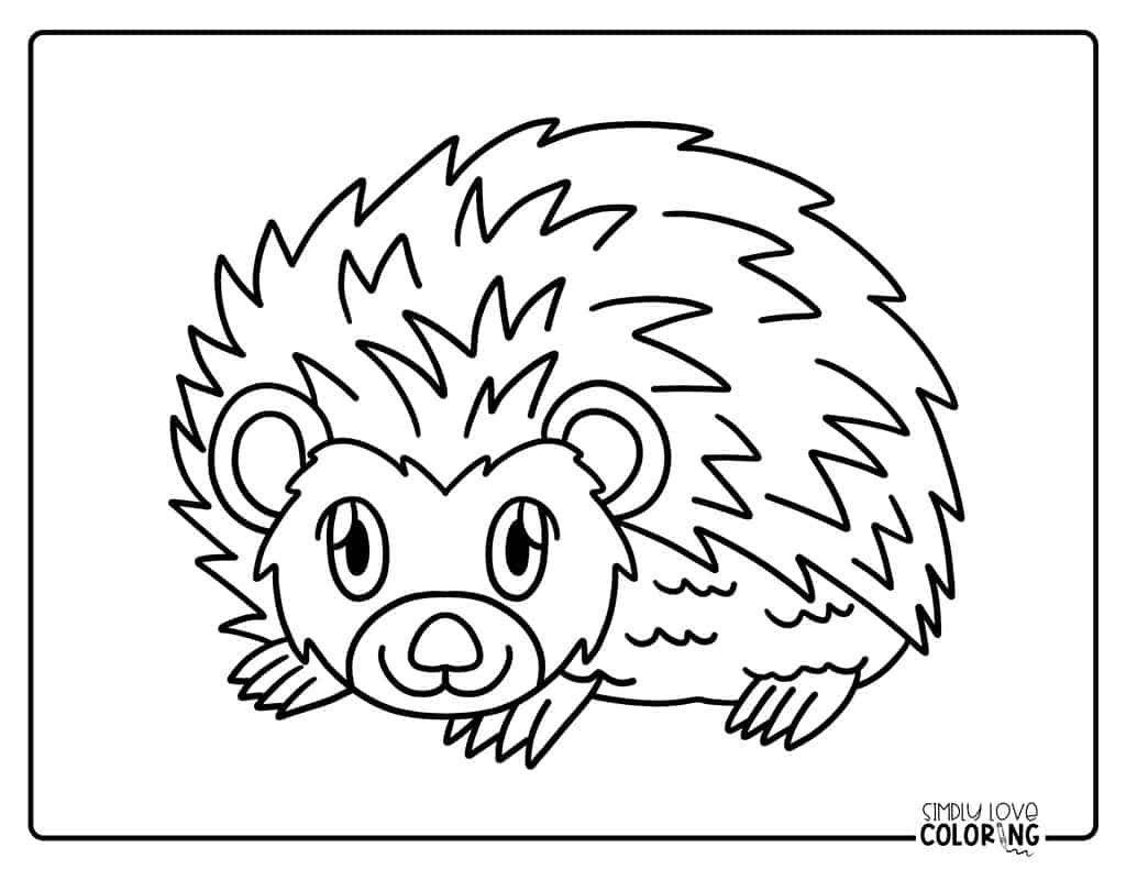 hedgehog coloring page hedgehog coloring page