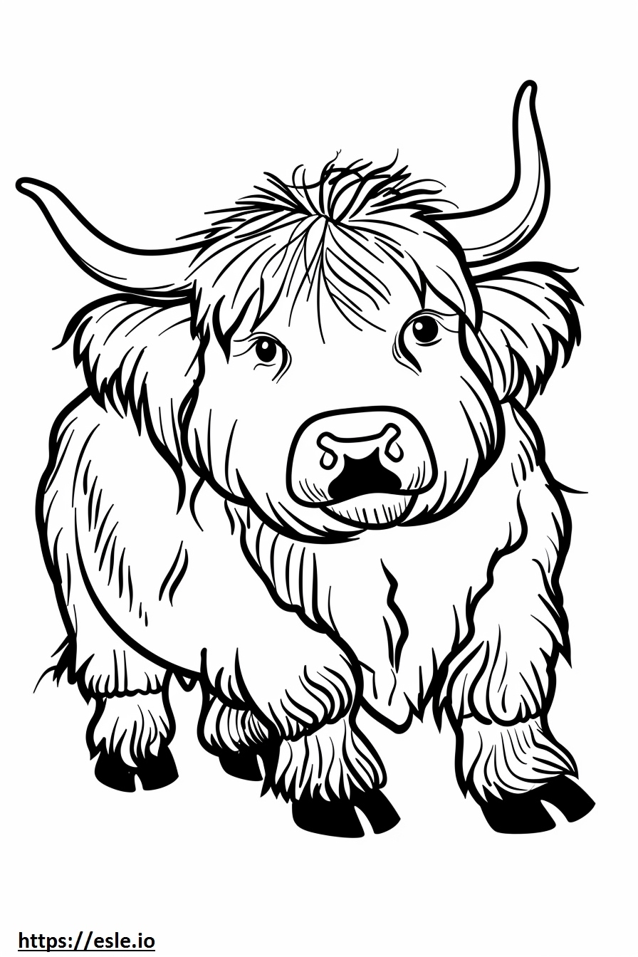 Highland Cow Coloring Page