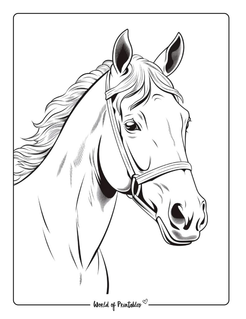 Horse Coloring Pages For Kids Adults World Of Printables