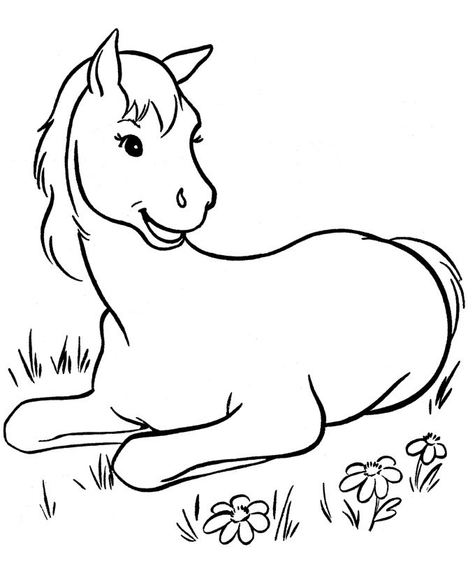 Horse Coloring Pages Printable Coloring Book 6000 Coloring Pages 