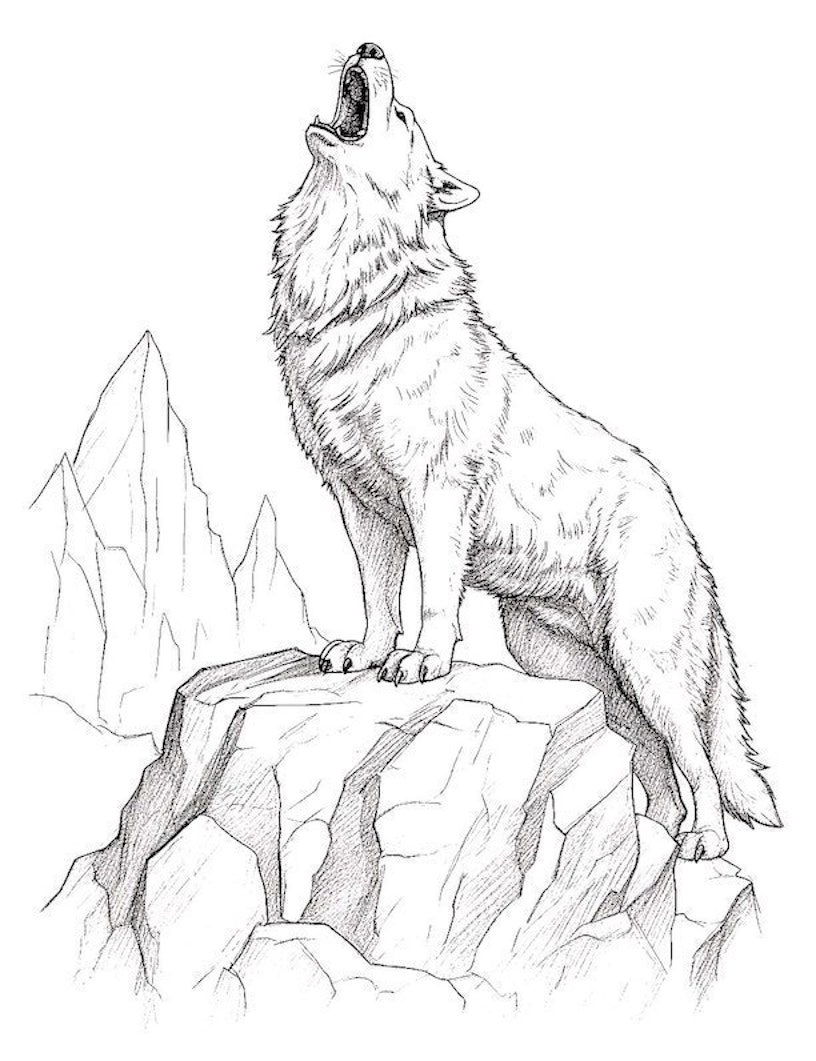 Howling Wolves Coloring Pages 2025 
