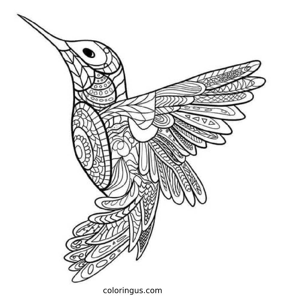 Hummingbird Difficult Coloring Page Free Printable PDF