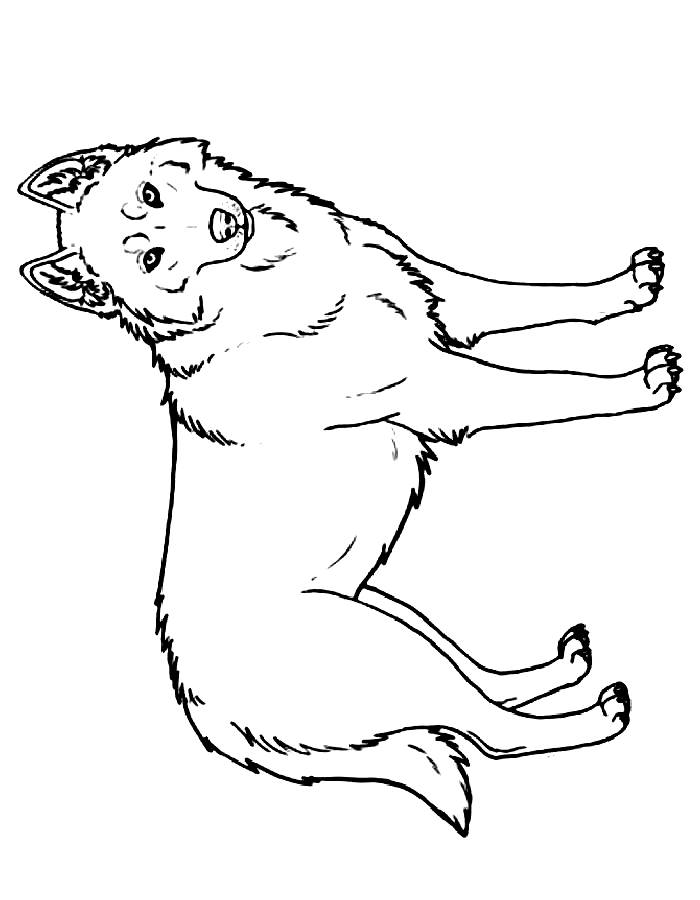 Husky Coloring Pages Free Printable PDF Husky Coloring Pages Free Printable PDF