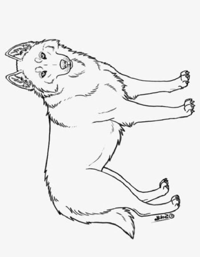 Husky Coloring Pages Free Printable PDF Husky Coloring Pages Free Printable PDF