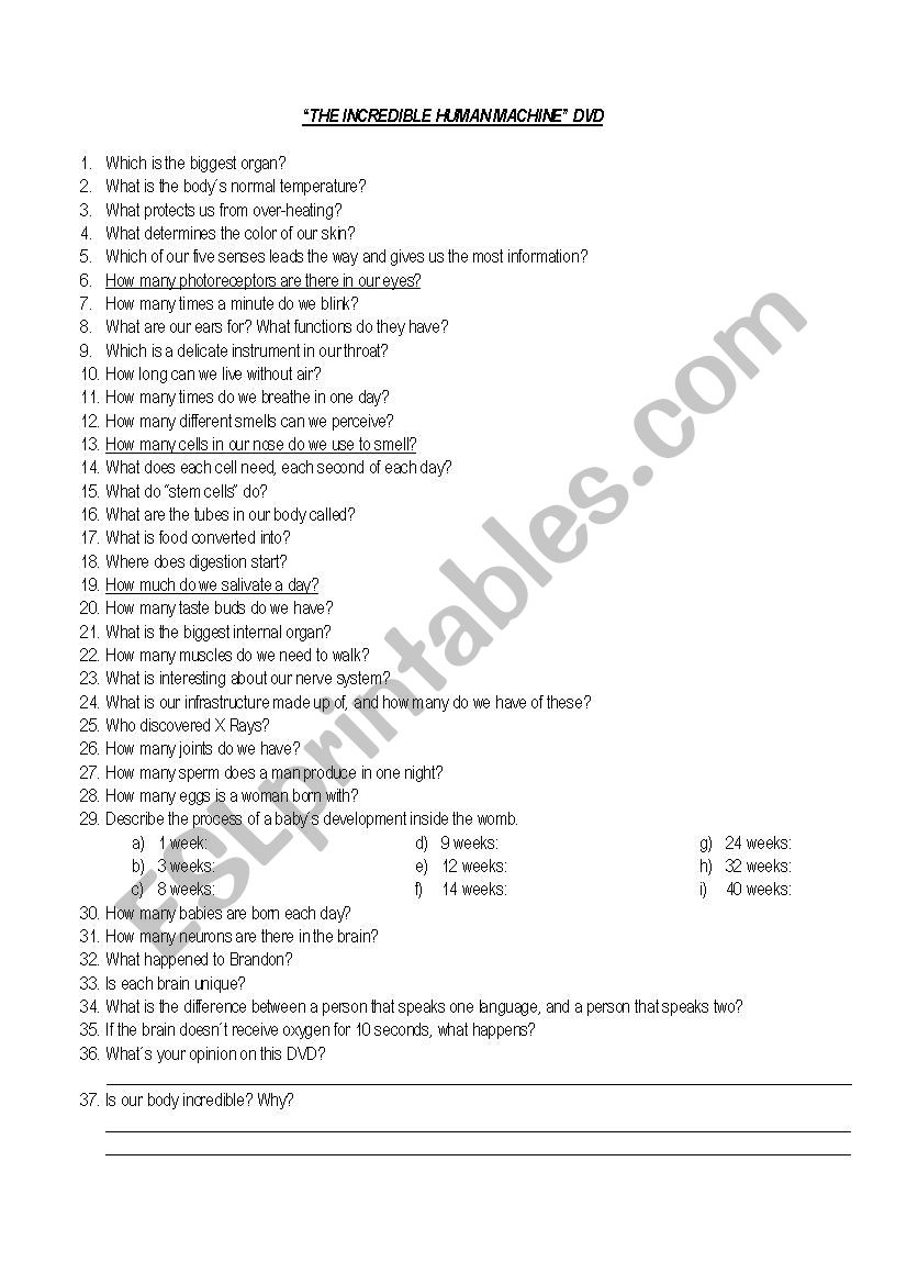 Incredible Measurements Worksheet Answers Planner Hexagon Incredible Measurements Worksheet Answers Planner Hexagon
