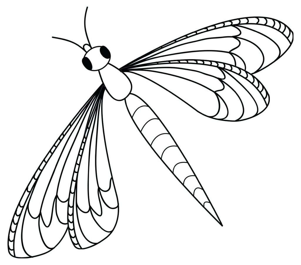 Insect Coloring Pages Best Coloring Pages For Kids Insect Coloring Pages Best Coloring Pages For Kids