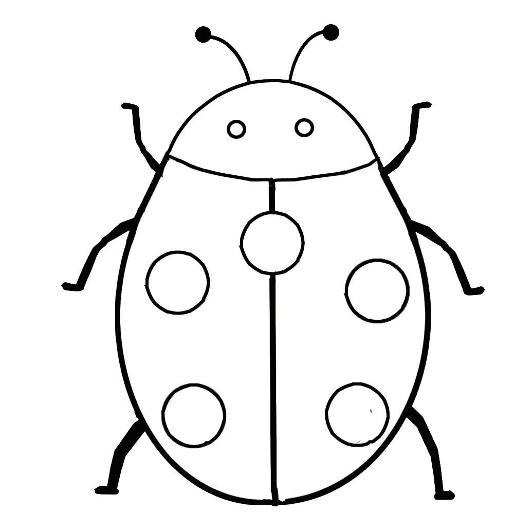 Insect Coloring Pages Best Coloring Pages For Kids Insect Coloring Pages Best Coloring Pages For Kids