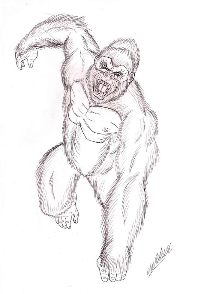 King Kong Coloring Pages Free Printable PDF 