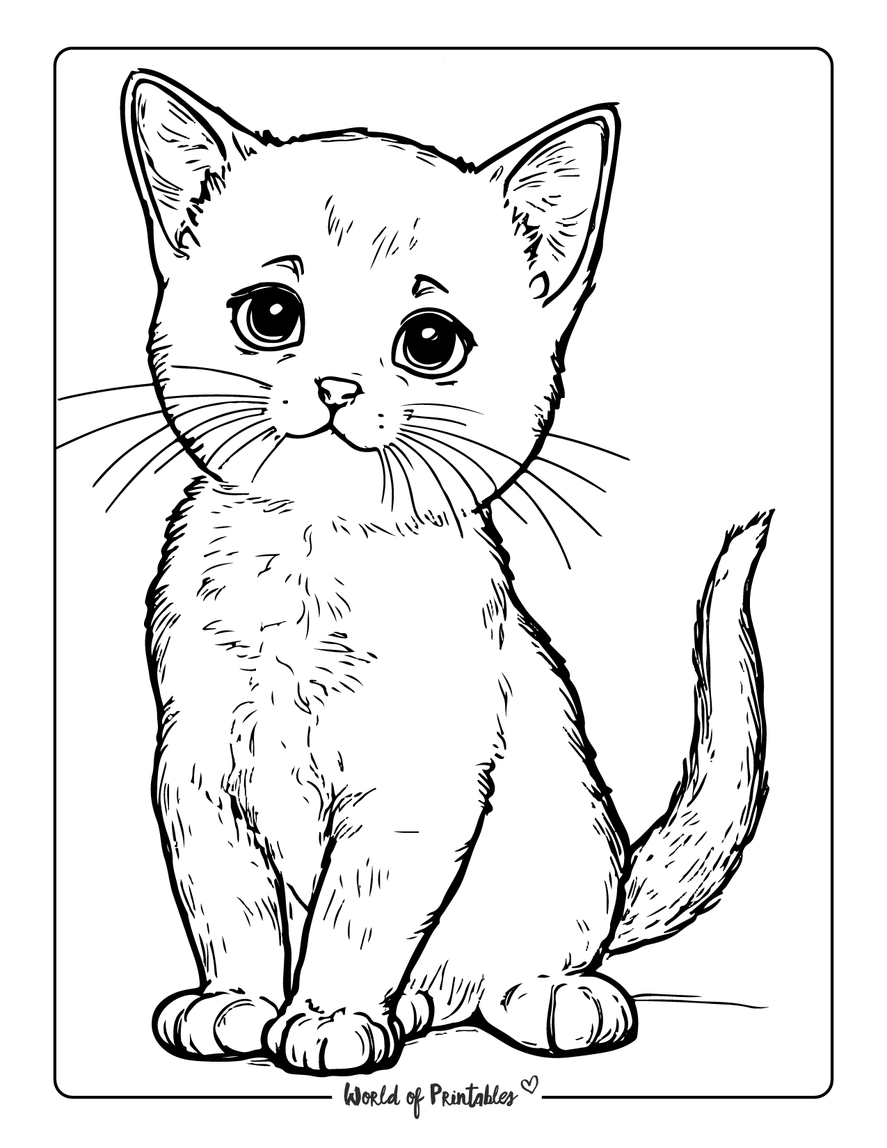 coloring pages cat