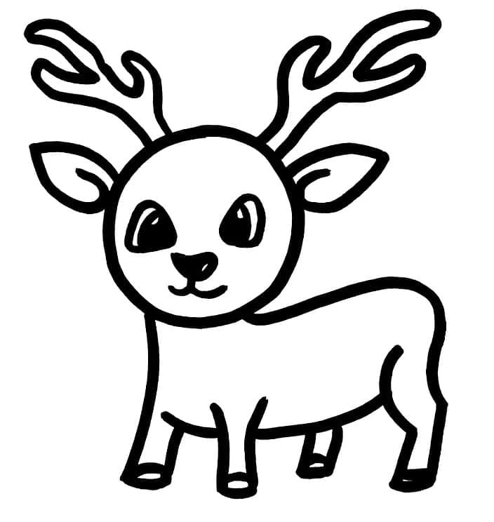deer coloring page deer coloring page