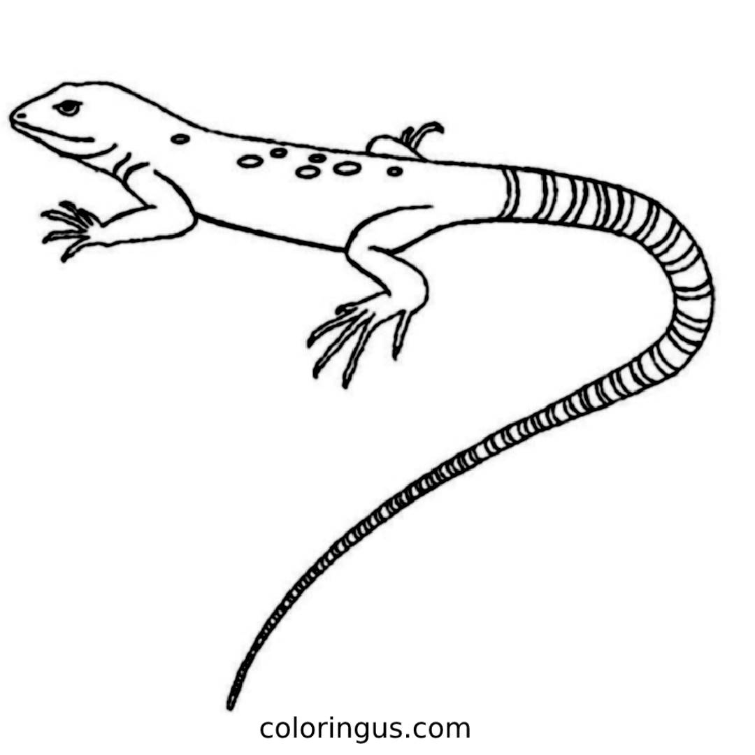 Lizard Printable