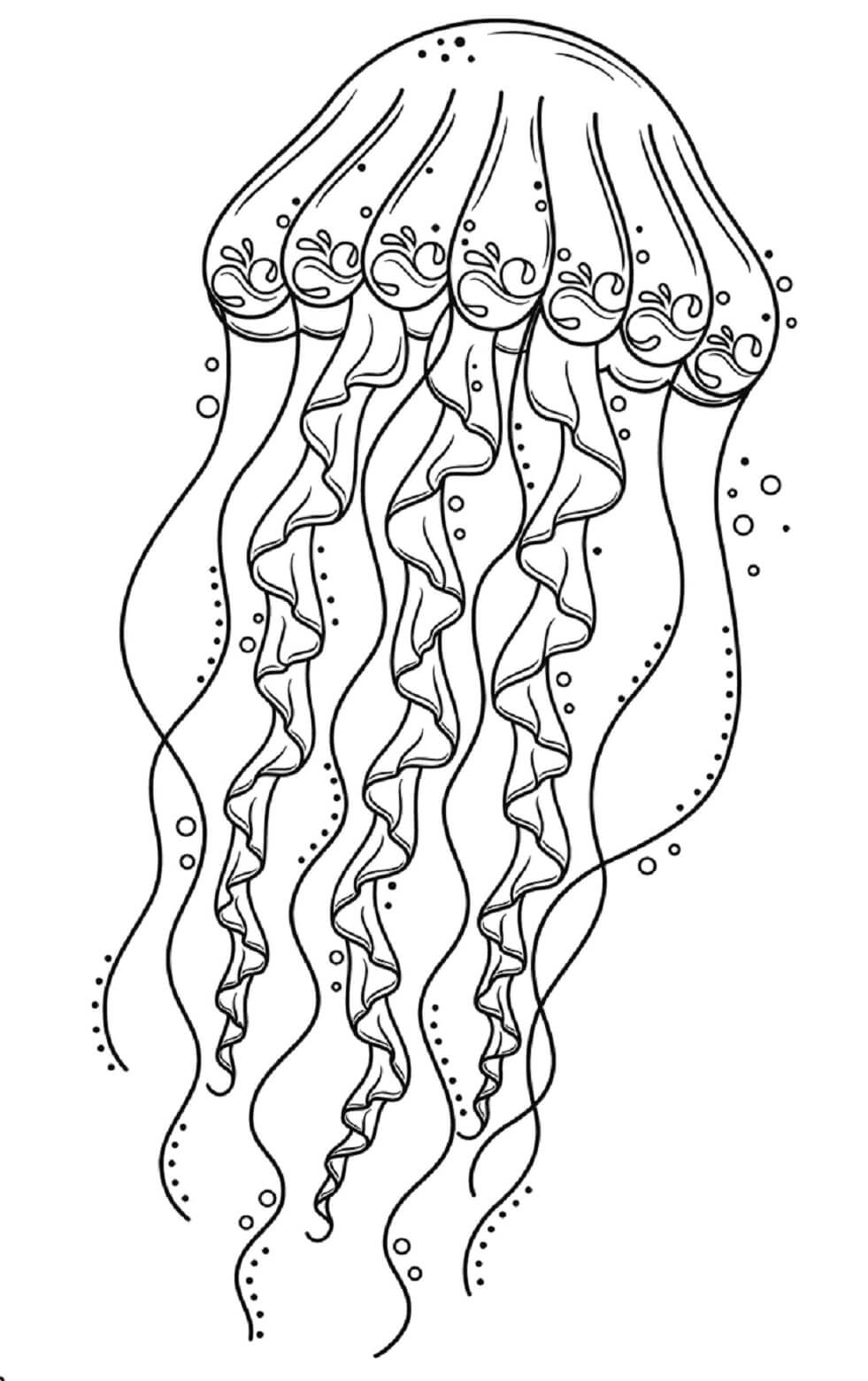 Mandala Jellyfish Coloring Page Sheet 4 Download Print Now 