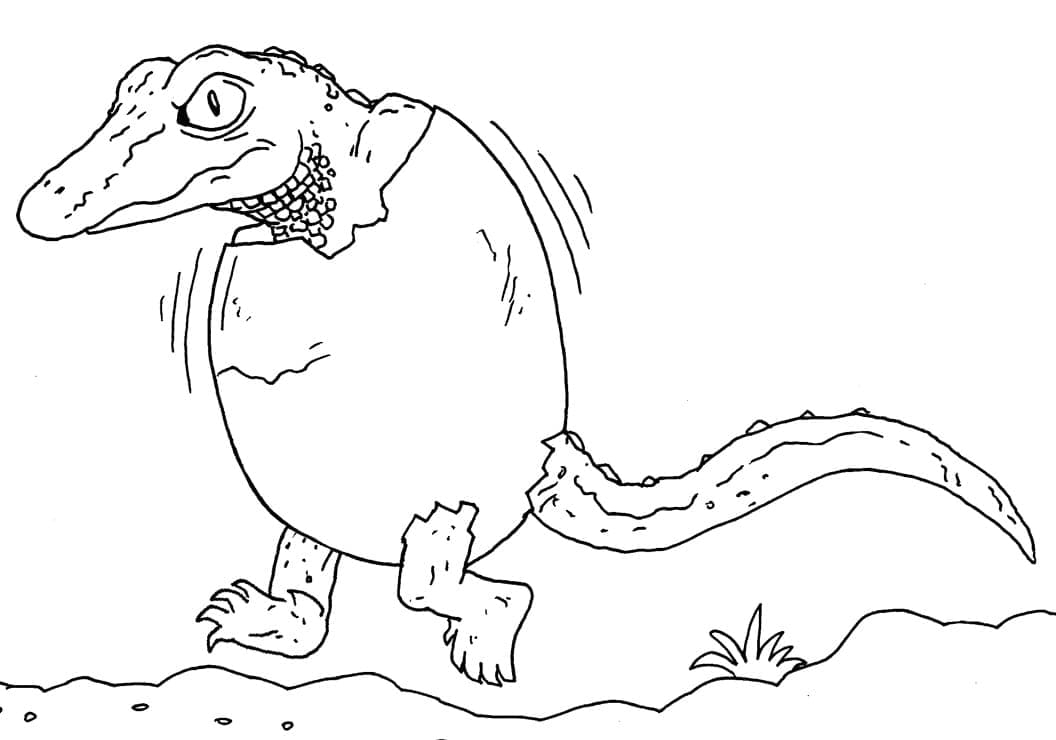 alligator coloring page