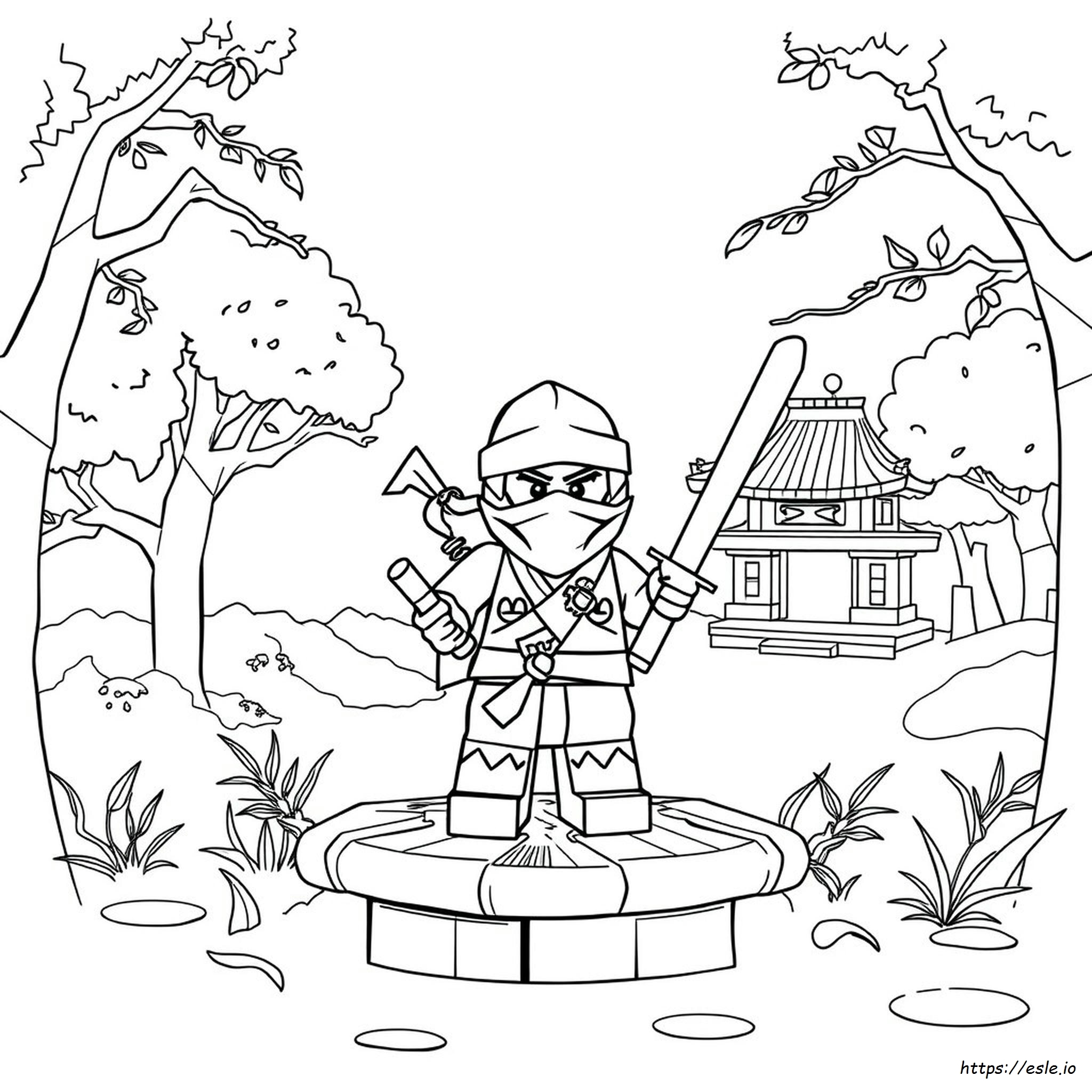 Ninja Ninjago Coloring Pages