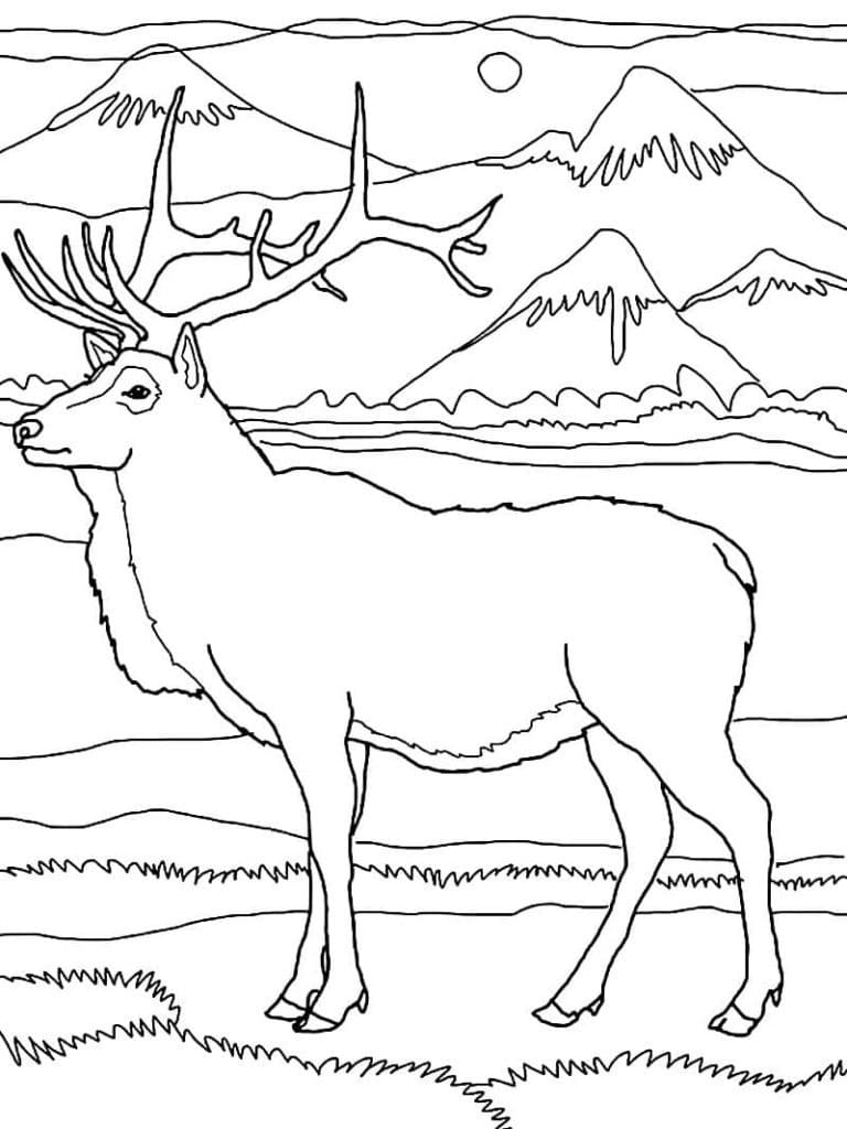 Normal Reindeer Coloring Page Download Print Or Color Online For Free Normal Reindeer Coloring Page Download Print Or Color Online For Free