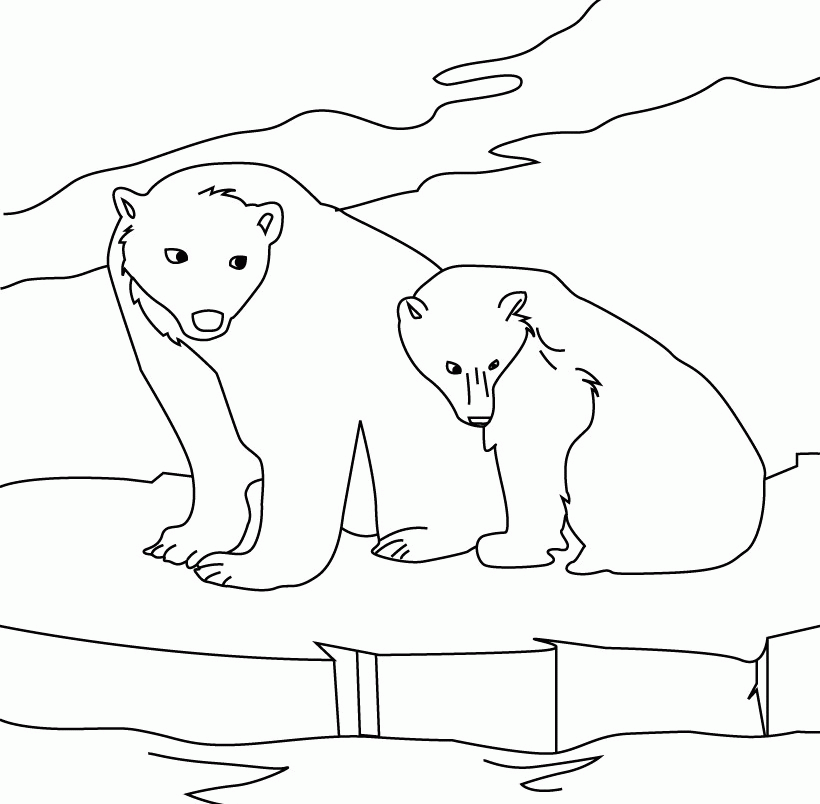 Polar Bear Coloring Pages Books 100 FREE And Printable 