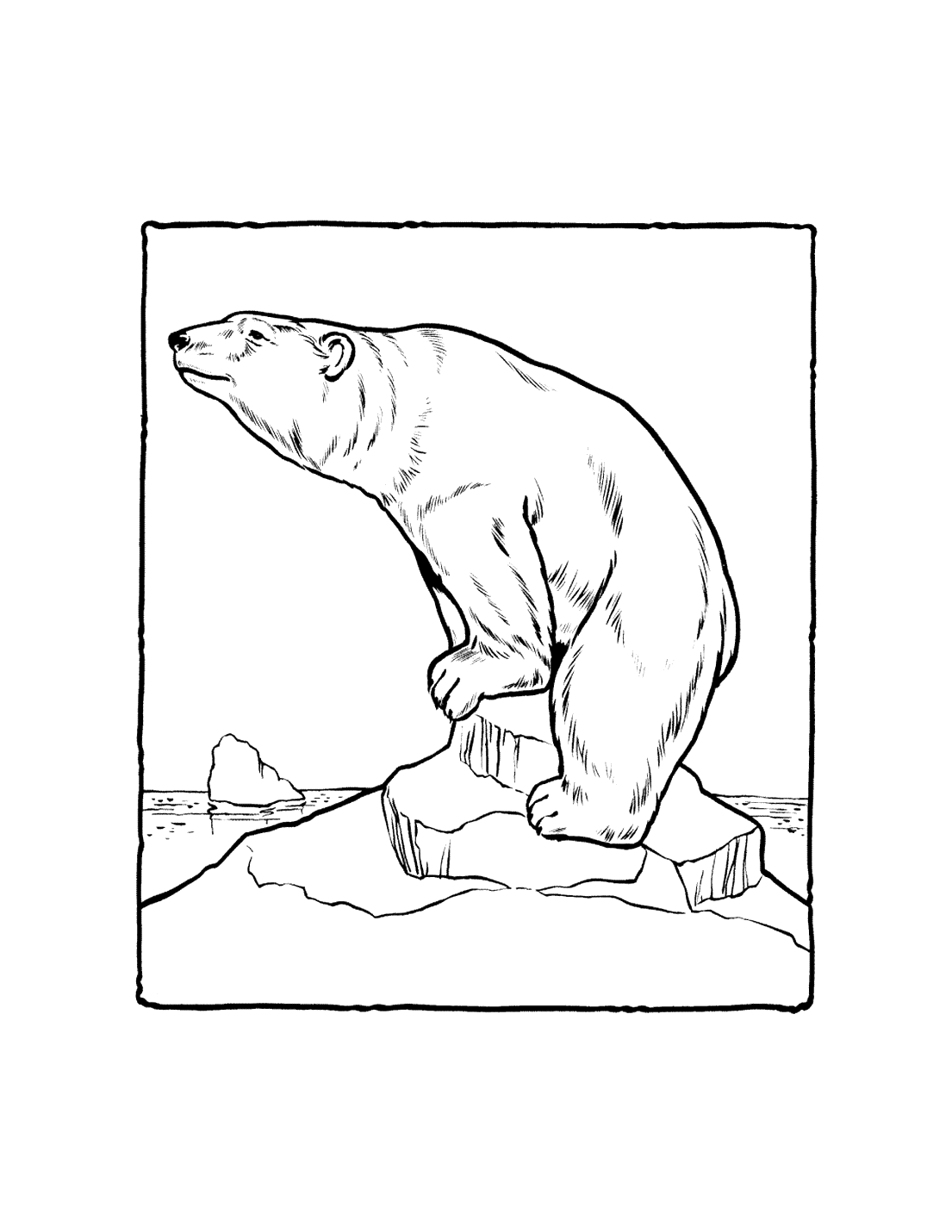 Polar Bear Coloring Pages Printable Coloring Pages FREE