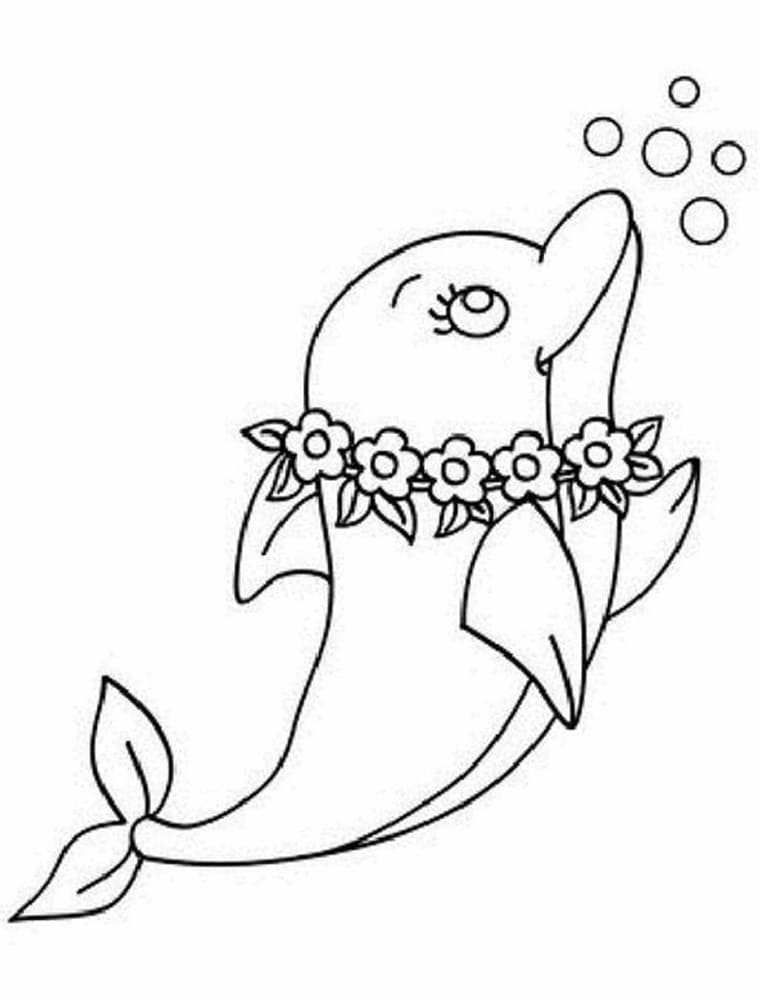Pretty Dolphin Coloring Page Download Print Or Color Online For Free Pretty Dolphin Coloring Page Download Print Or Color Online For Free