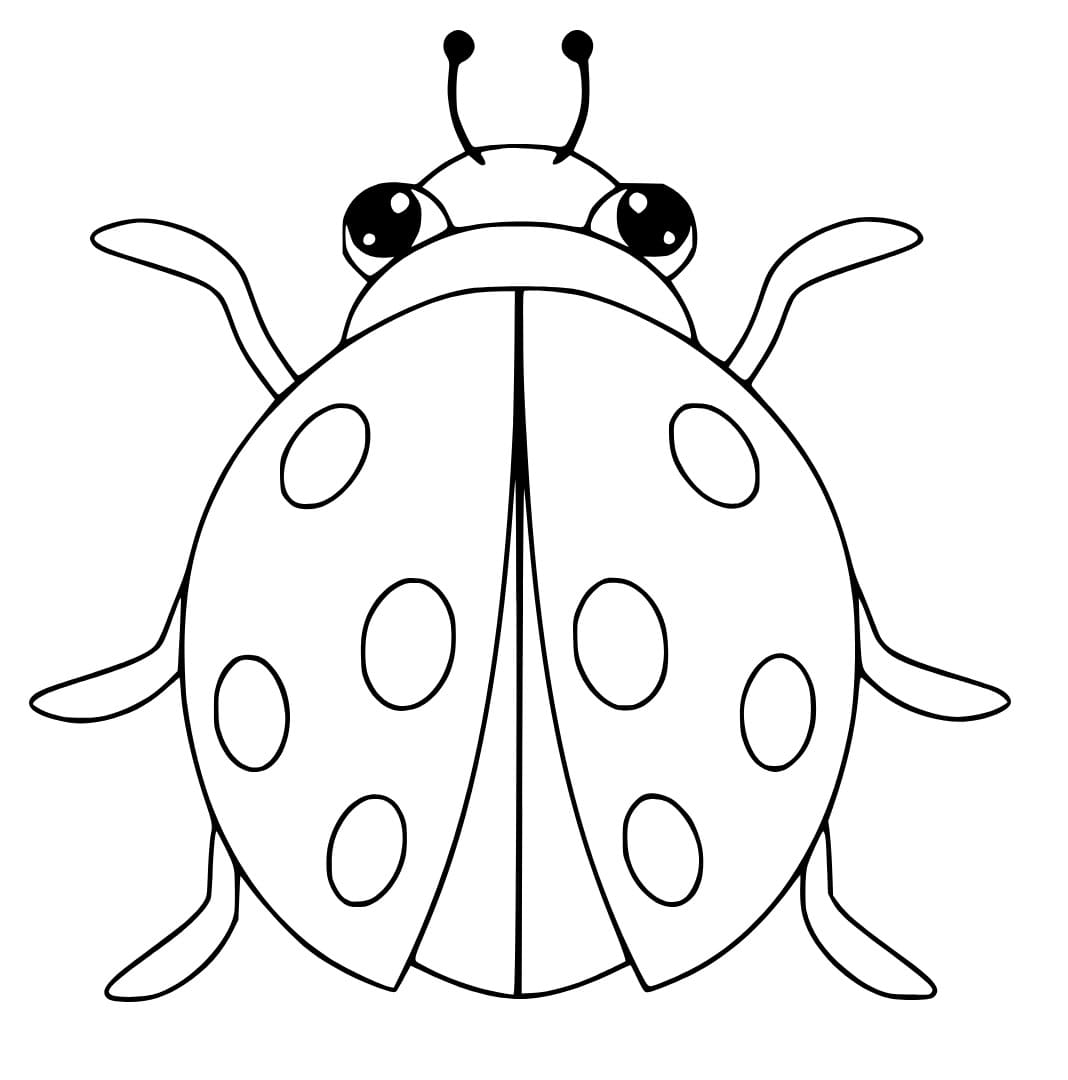 Print Ladybug Coloring Page Download Print Or Color Online For Free