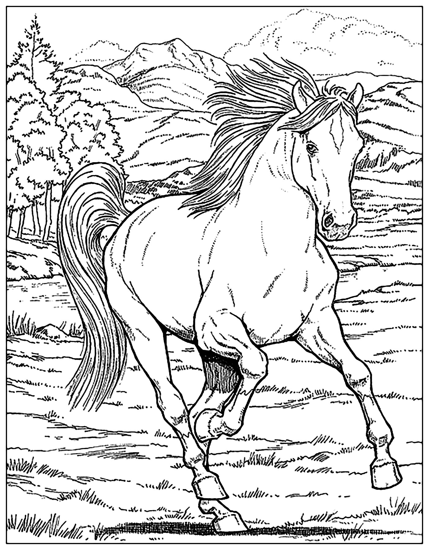 printable coloring pages of horses