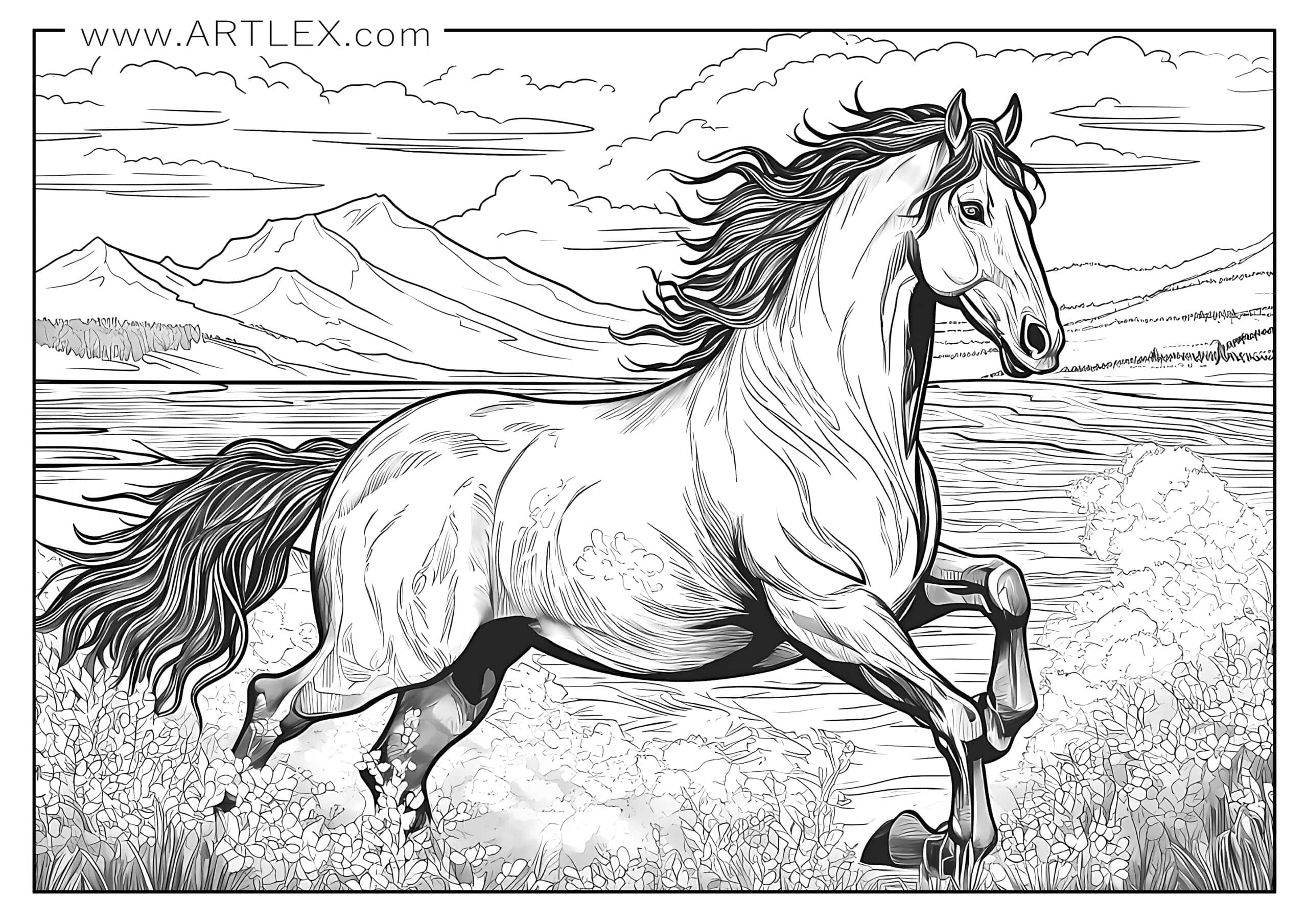 Printable Coloring Pages Of Horses