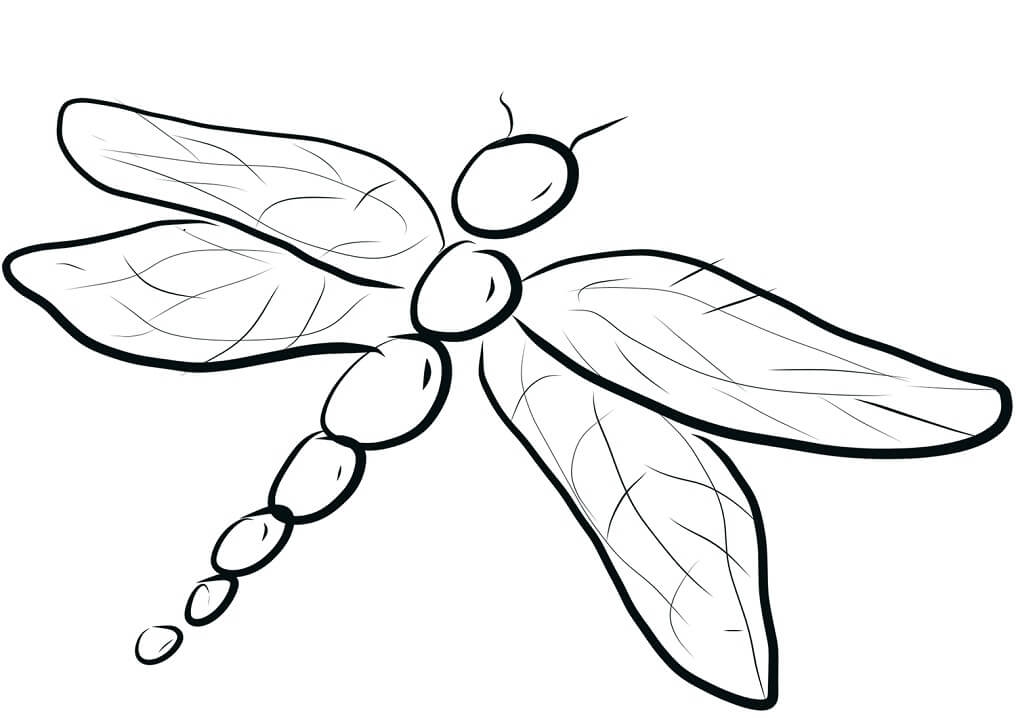 Printable Dragonfly Coloring Page Free Printable Coloring Pages For Kids Printable Dragonfly Coloring Page Free Printable Coloring Pages For Kids