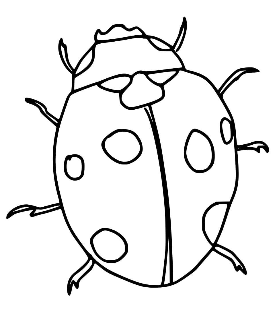 Printable Ladybug Coloring Page Download Print Or Color Online For Free