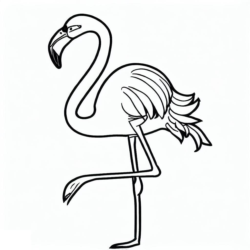 Proudly Flamingo Coloring Page Download Print Or Color Online For Free Proudly Flamingo Coloring Page Download Print Or Color Online For Free