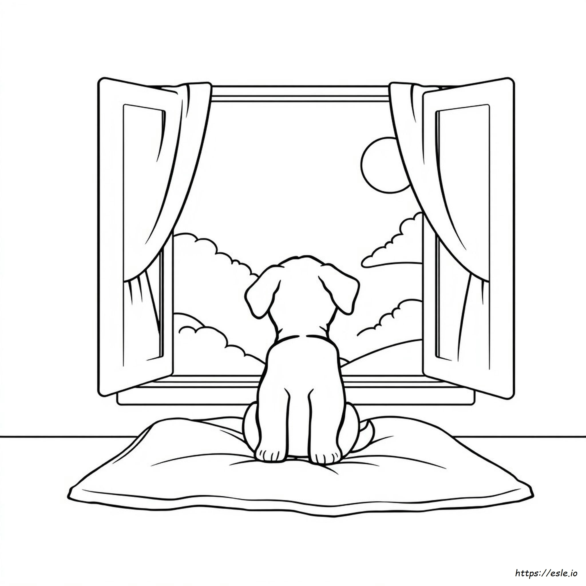 Puppy Dog Coloring Pages Puppy Dog Coloring Pages