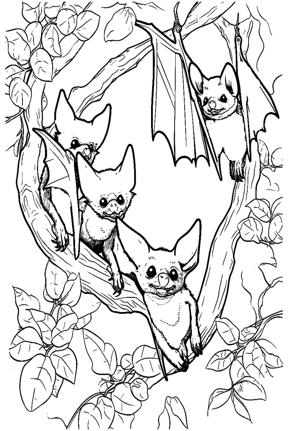 Realistic Bat Coloring Page Free Printable Coloring Pages